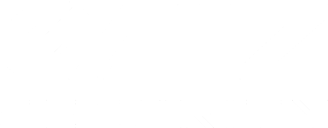 Ganz Security